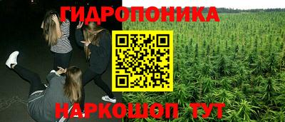 спайс Тара