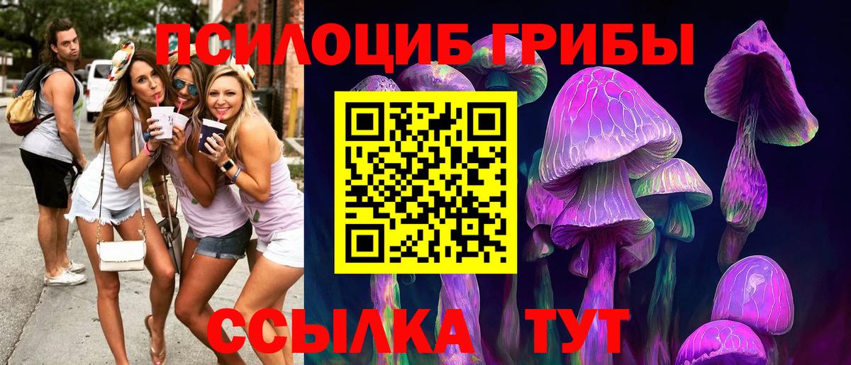Псилоцибиновые грибы прущие грибы  Вход с VPN  Галлюциногенные грибы Magic Shrooms  Нальчик 